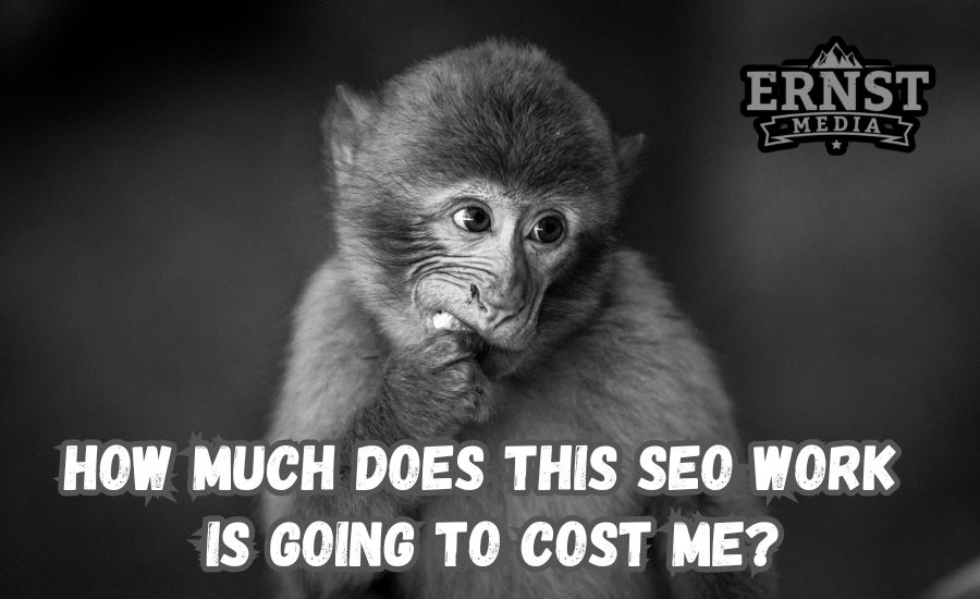 what does affordable seo means in terms of costs