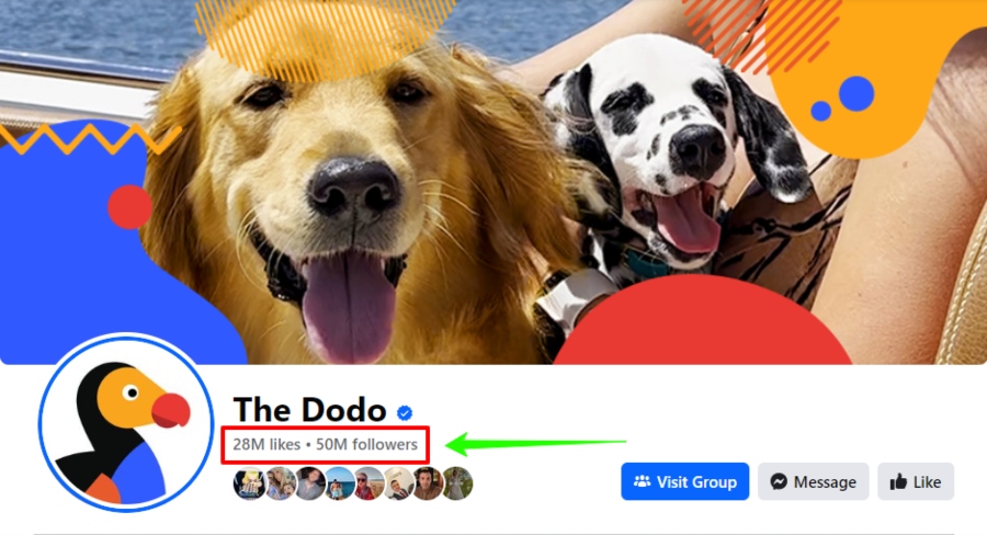 showing the dodo as an example of a small business achieving huge organic growth on social media