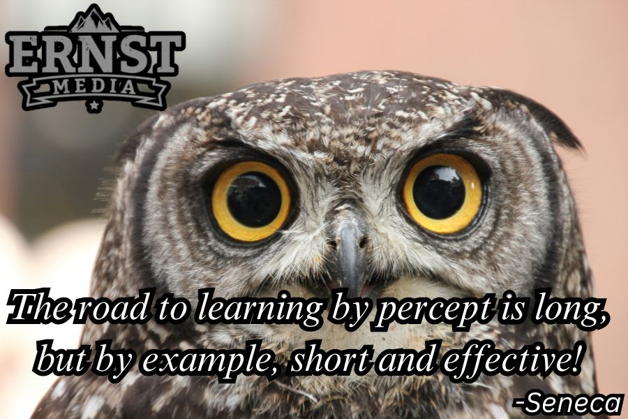a quote by Seneca emphasizing the benefits of learning by example