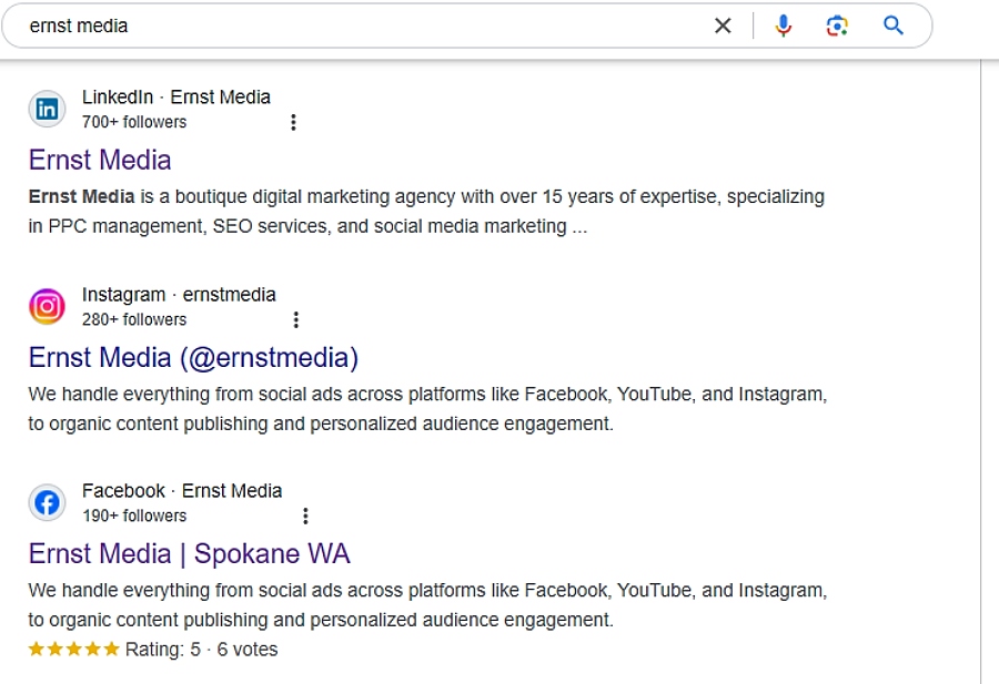 ernst media social media profiles showing up in google search results