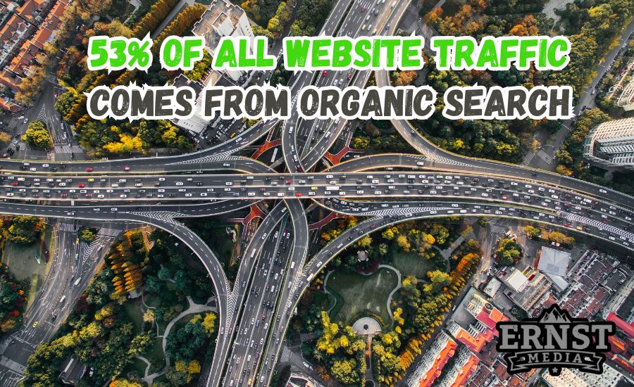 visulization of what percentage of website traffic comes from organic search